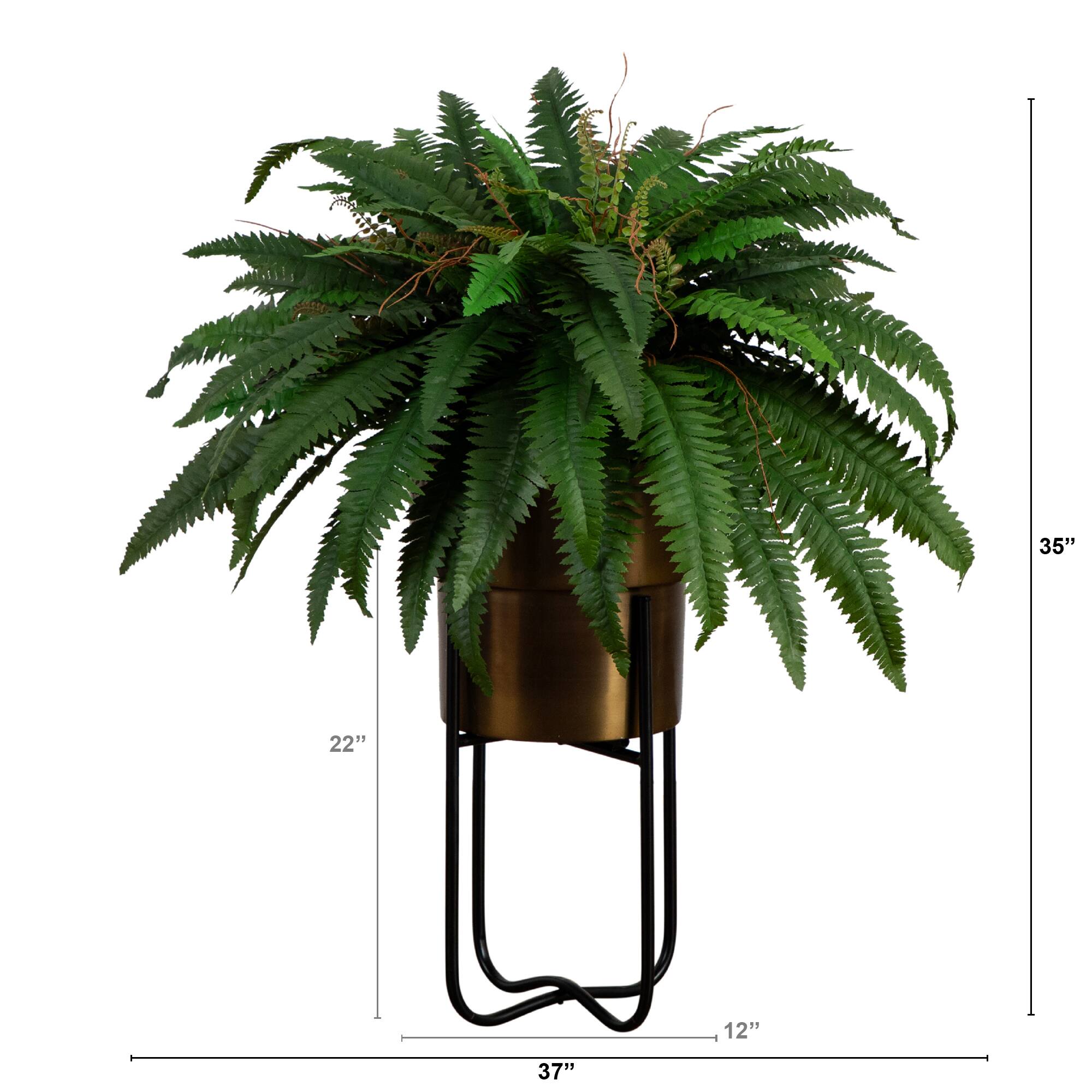 3ft. Boston Fern in Brass Metal Planter with Stand